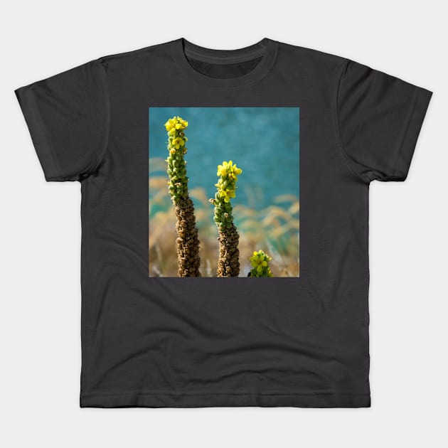 Common Mullein Blooms by Debra Martz Kids T-Shirt by Debra Martz